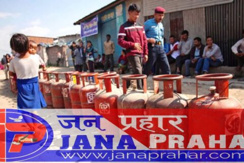 ग्यास लुकाउने आधा दर्जन पसललाई जरिवाना