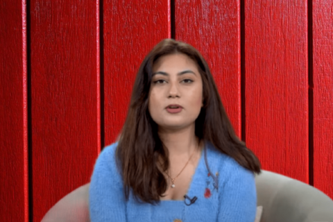 घरेलु विधिबाट कसरी हटाउने डार्क सर्कल ?