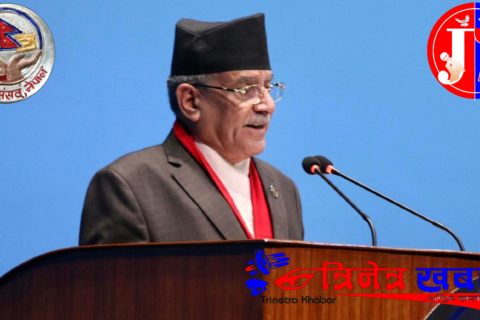 हामी नै सबैभन्दा नयाँ शक्ति : नयाँ भन्नेहरू दलालको प्रभावमा — प्रचण्ड