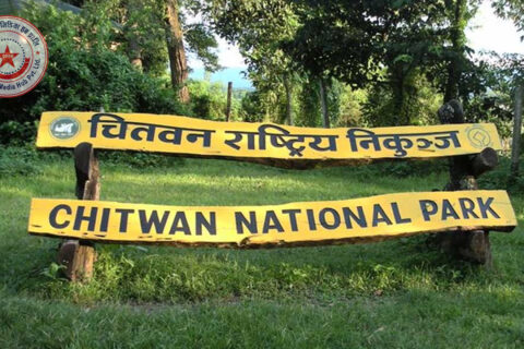 विद्युतीय तारः वन्यजन्तुका लागि जोखिम