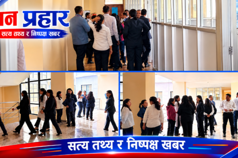 बीमा प्राधिकरणका कर्मचारी आन्दोलित, समान सेवा-सुविधा नपाएसम्म आन्दोलन जारी राख्ने चेतावनी